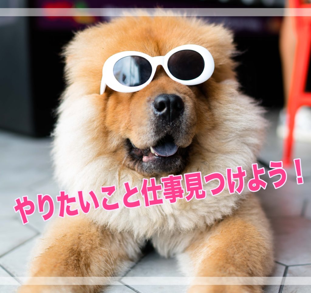 犬