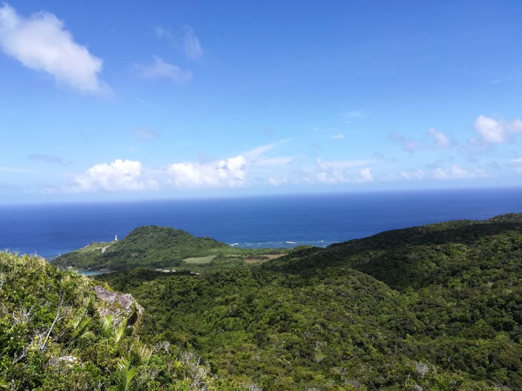 山