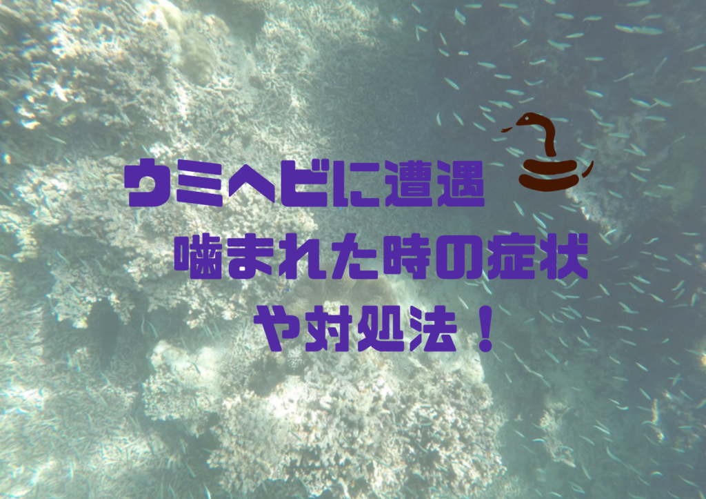 最新のhdウミヘビ 毒性 最高の花の画像