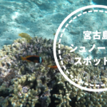 宮古島,シュノーケル,画像